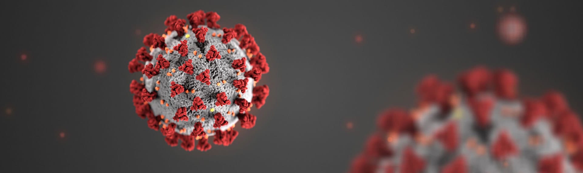 Coronavirus Grafik